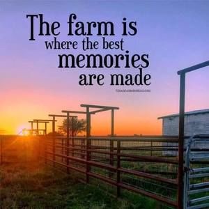 Meet your Posher, Stratford